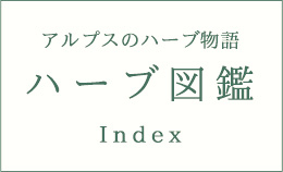 アルプスのハーブ物語　ハーブ図鑑　ＩＮＤＥＸ